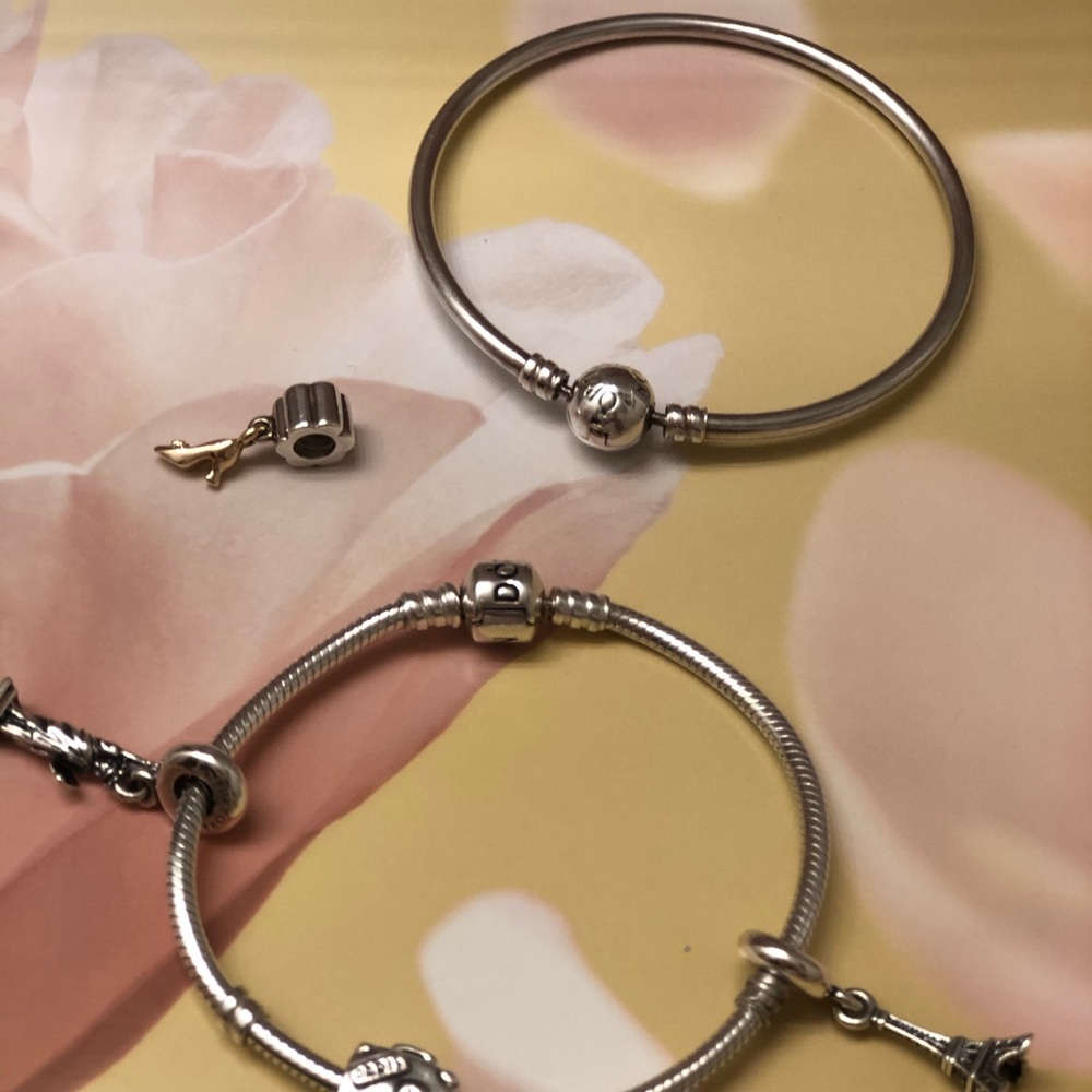 Pandora Bracelet / Charm Bundle - image 6